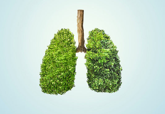Breathe Better, Live Better: 10 Effective Lung Health Tips
