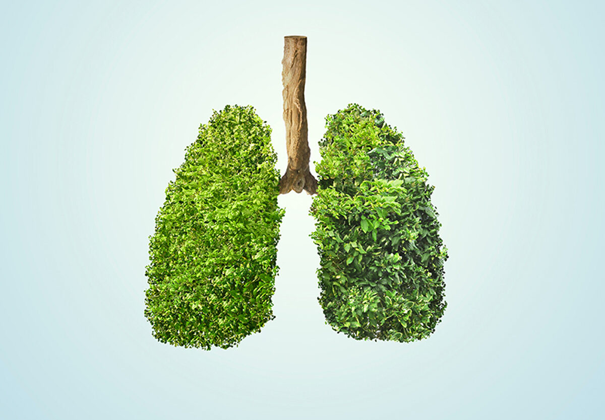 How To Improve Lung Health?10 Effective Tips