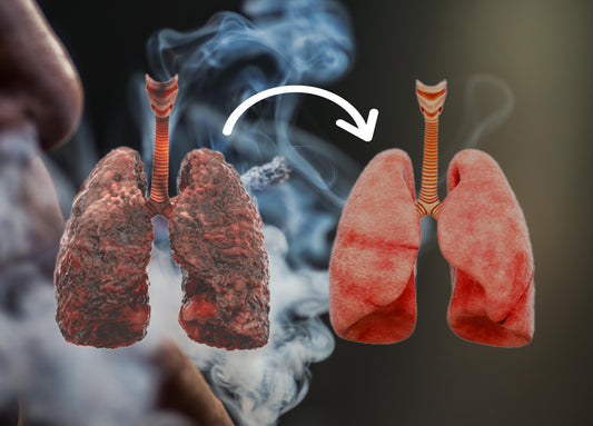 Lung Healing After Smoking