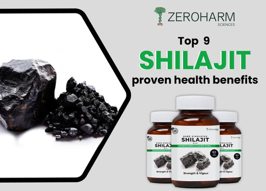 9 Shilajit Health Benefits With Scientific Proofs