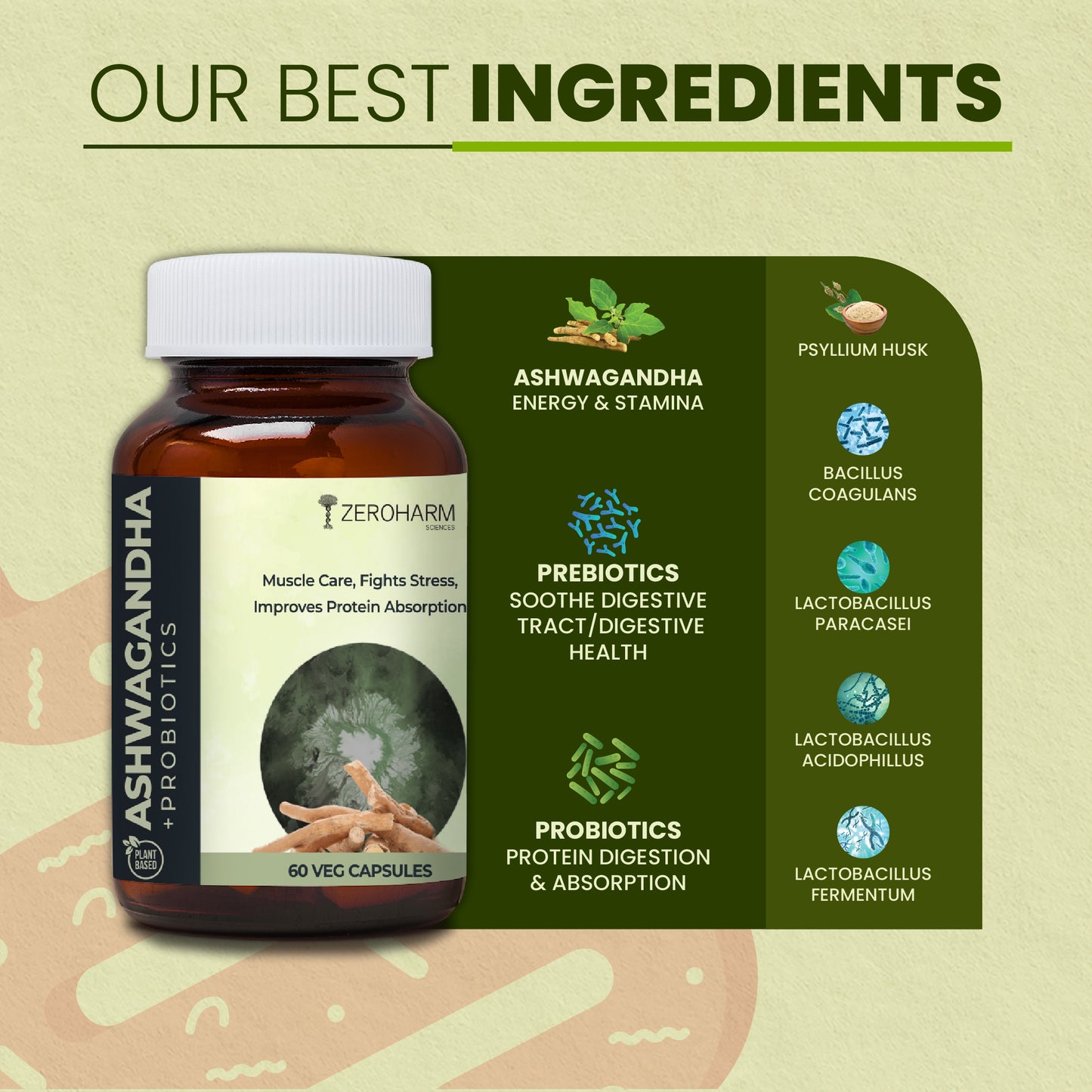 Ashwagandha Probiotic Supplements