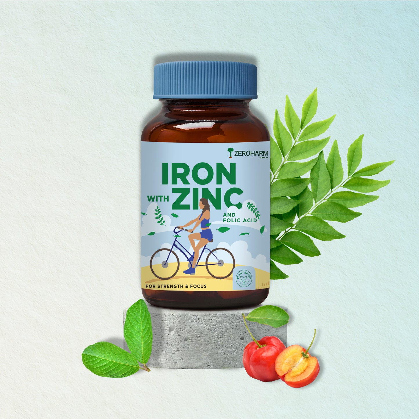 Iron Zinc Folic Acid Vitamin B12 Tablets