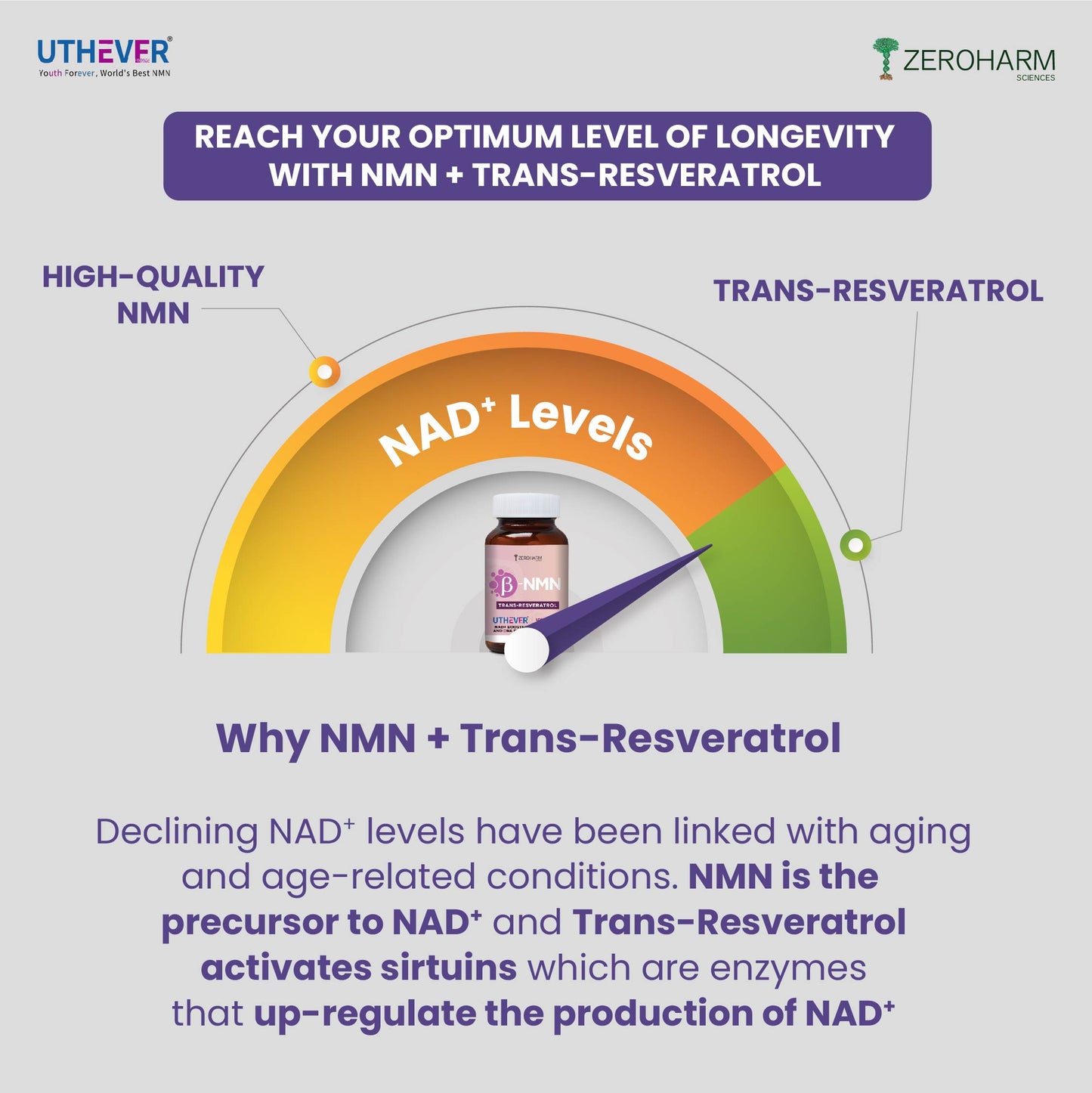 NMN + Trans-Resveratrol