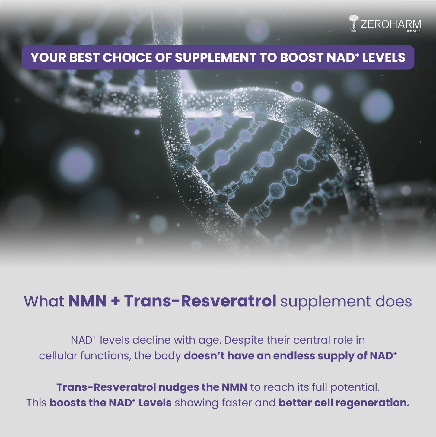 NMN + Trans-Resveratrol