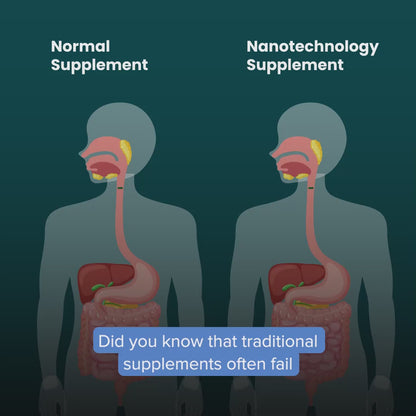 Holo UTI (Urinary Tract Infection) Tablets